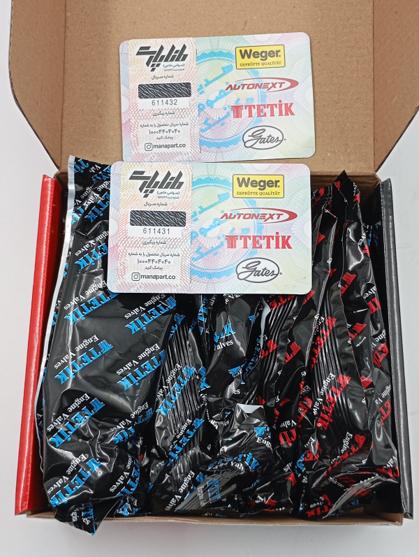 سوپاپ سمند EF7 (ست دود و هوا) Titik