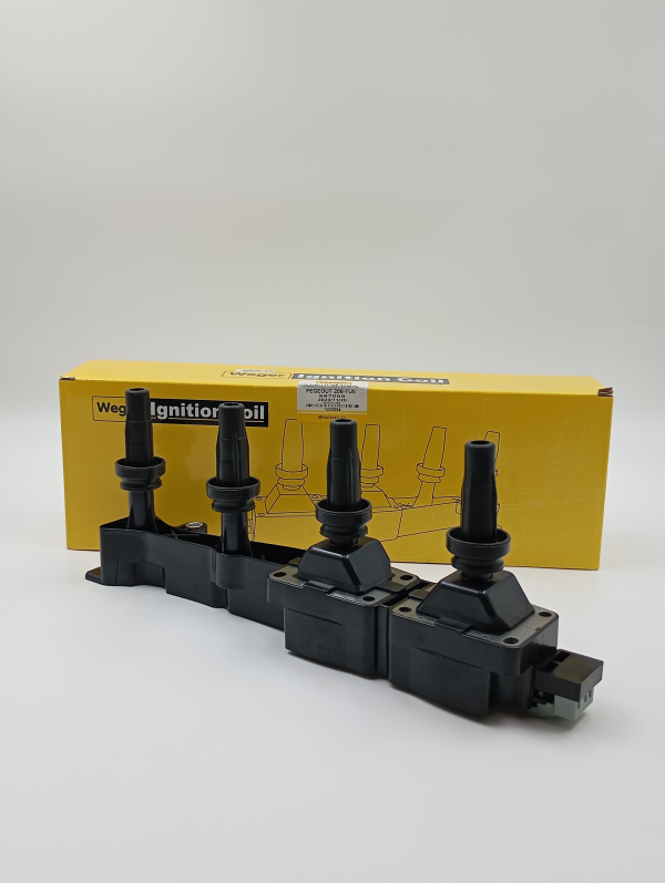 کوئل پژو 206 تیپ 5