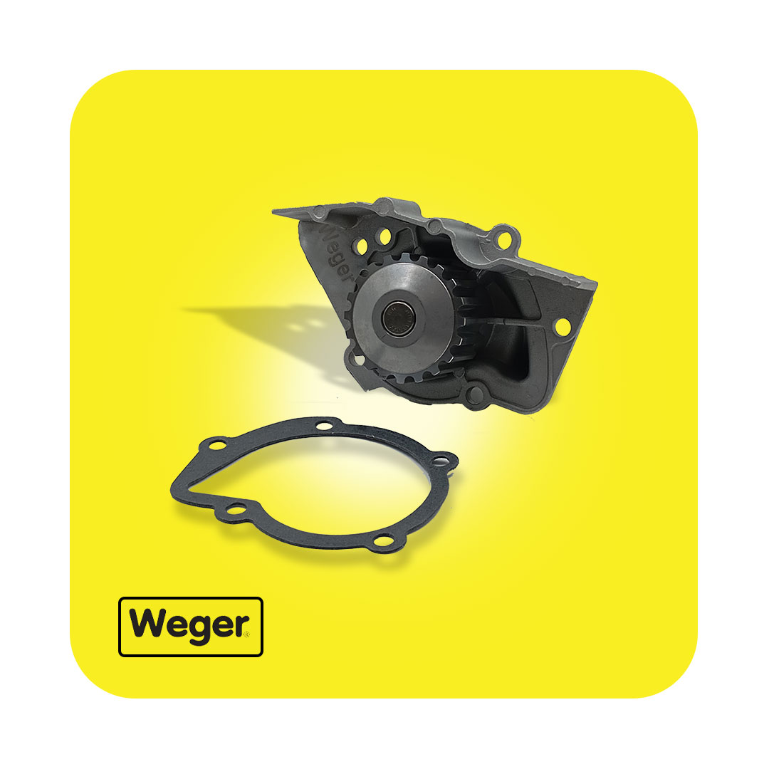 واتر پمپ پژو    405