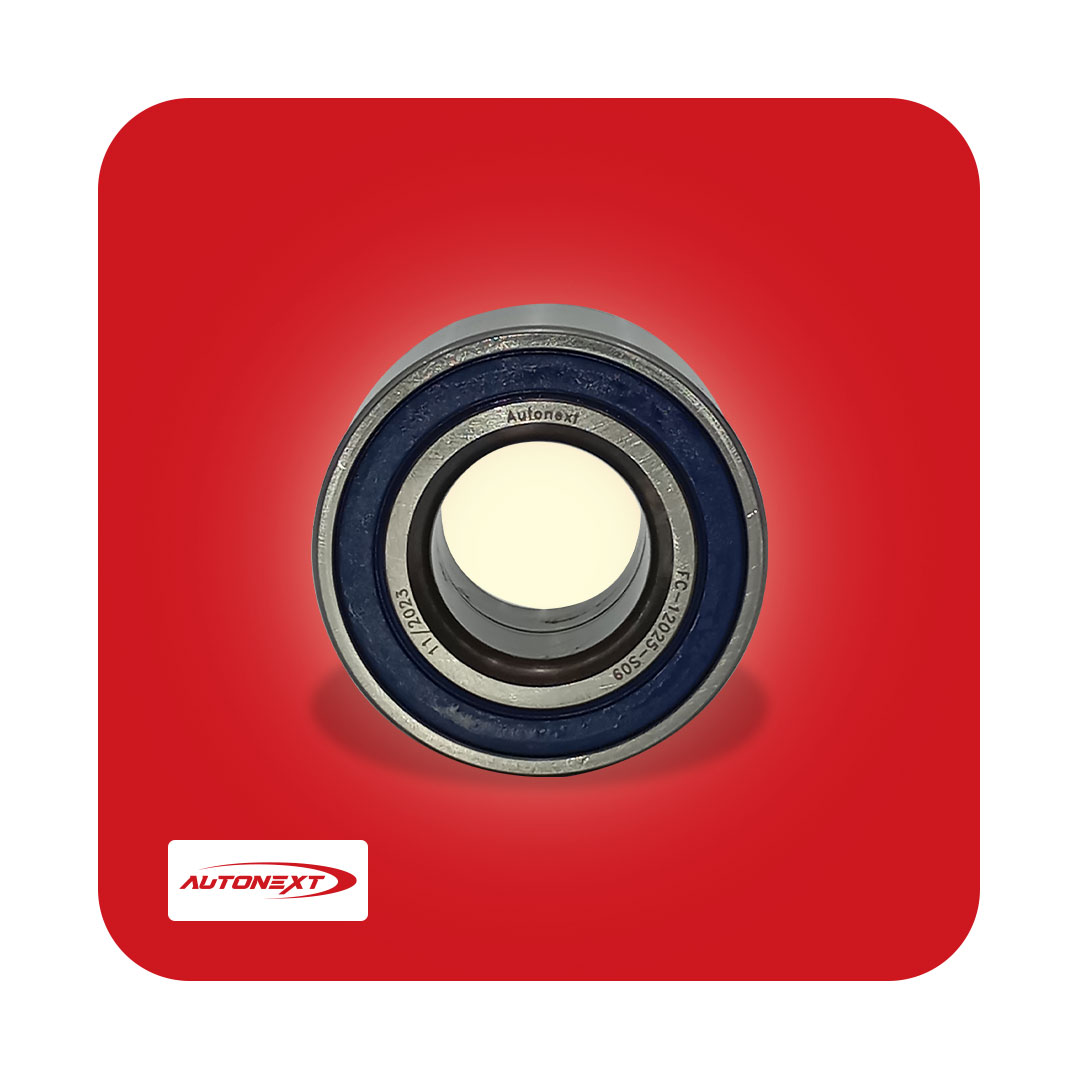 بلبرینگ چرخ عقب 206 یک تکه (FC-12025-S09) اتونکست
